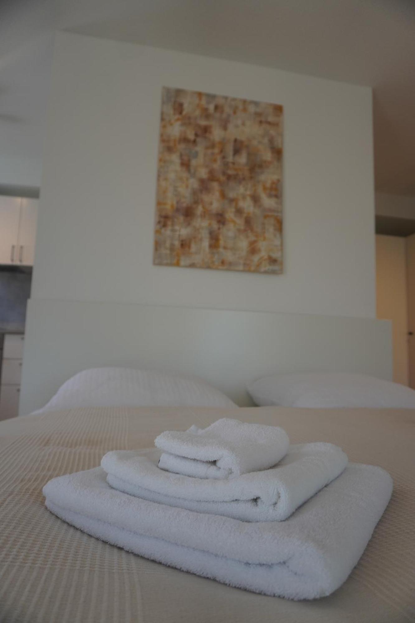 Hb-Living Apartment-Rheinblick 마인츠 외부 사진