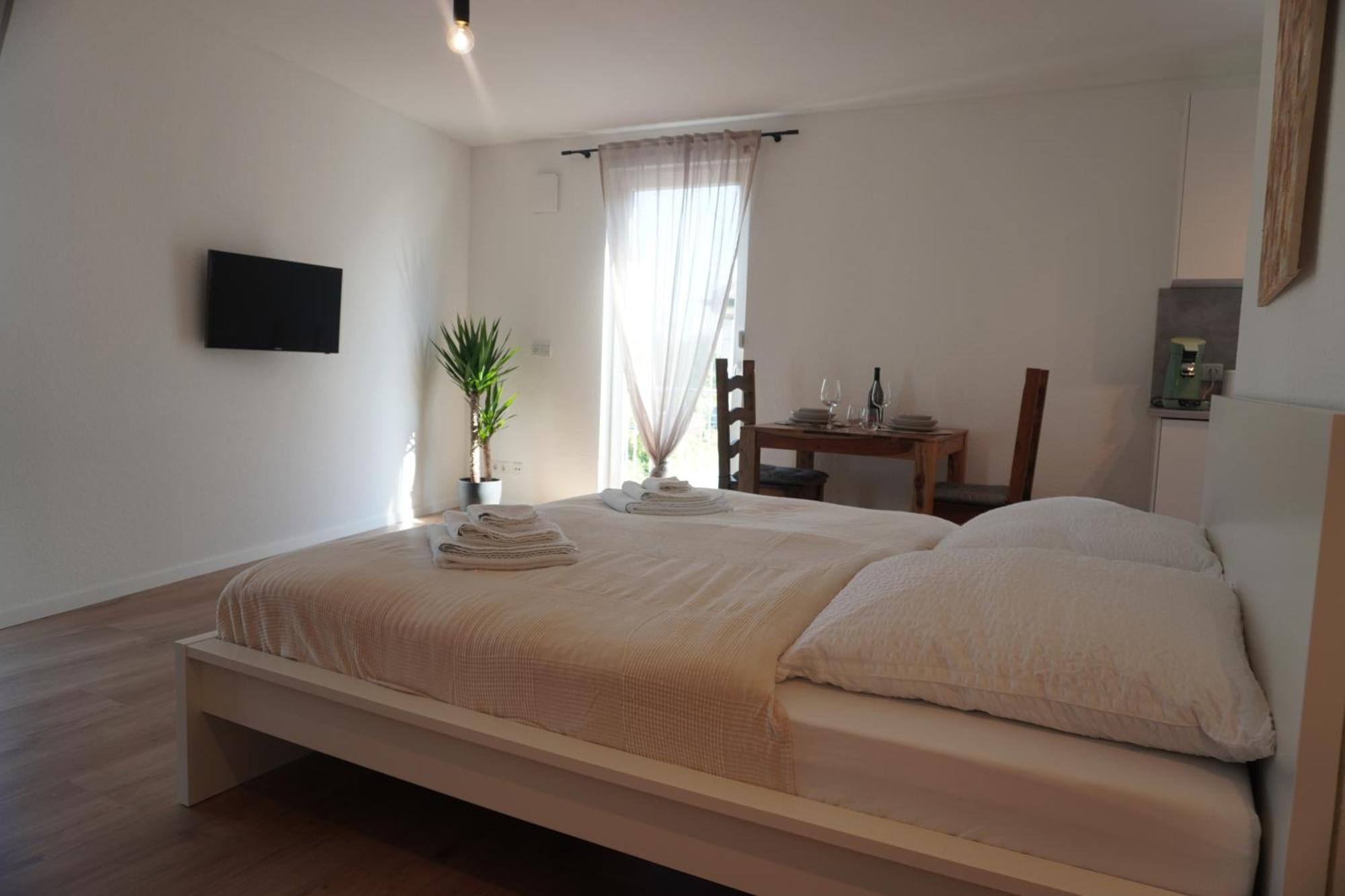 Hb-Living Apartment-Rheinblick 마인츠 외부 사진